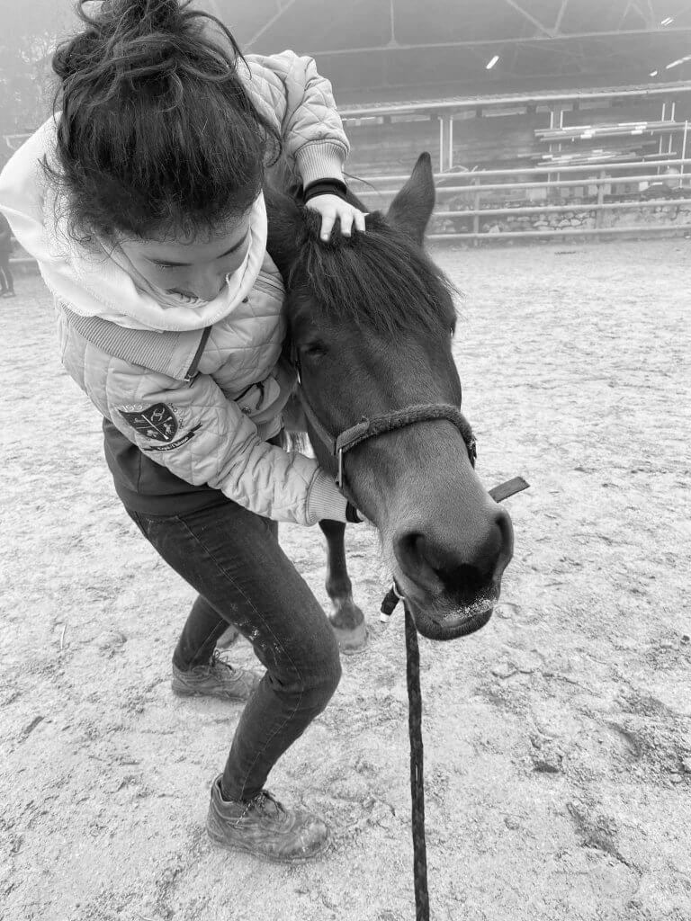 Claire Fresneau-Fontalirant, ostéopathe animalier à Saumur, en pleine séance d'ostéopathie crânienne sur un cheval