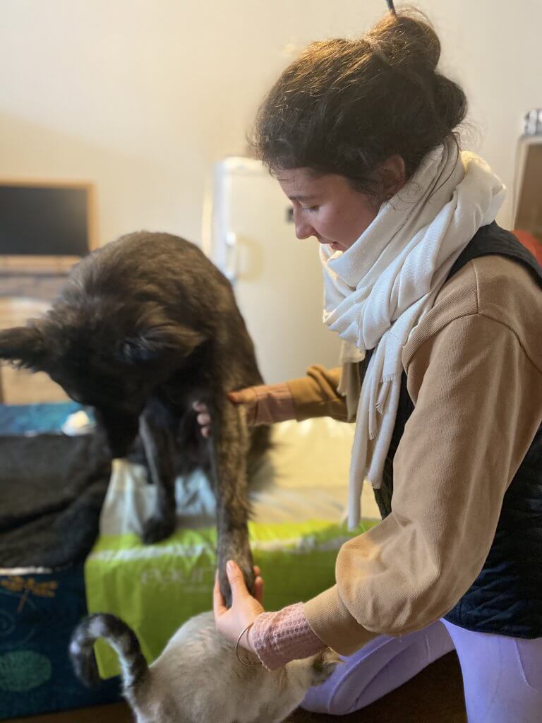 Claire Fresneau-Fontalirant, ostéopathe animalier à Saumur, en séance d'ostéopathie canine