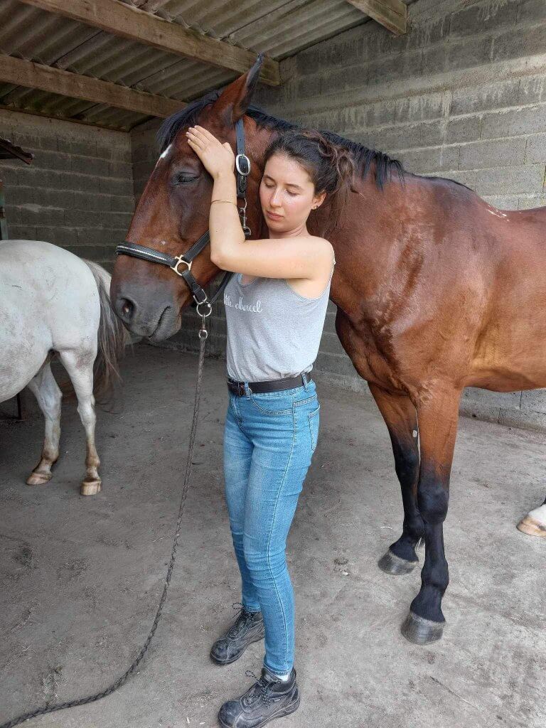 Claire Fresneau-Fontalirant, ostéopathe animalier à Saumur, en pleine séance d'ostéopathie crânienne sur un cheval