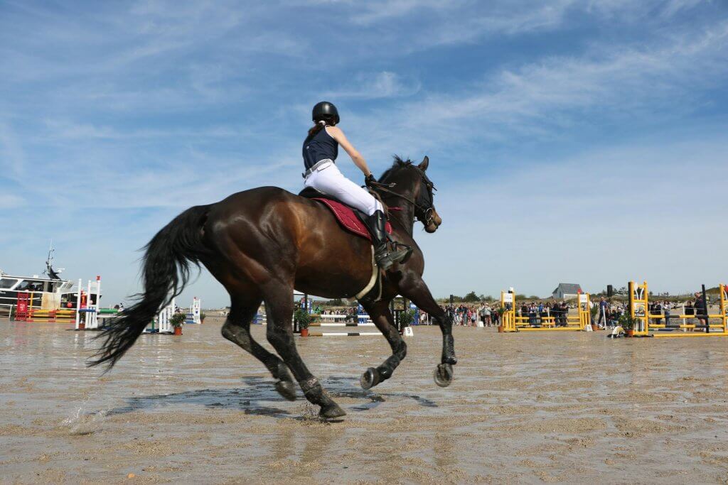 Cheval monté par un cavalier, en parcours d'obstacles, pour illustrer l'ostéopathie équine pour le cheval de sport - Claire Fresneau-Fontalirant, ostéopathe animalier à Saumur