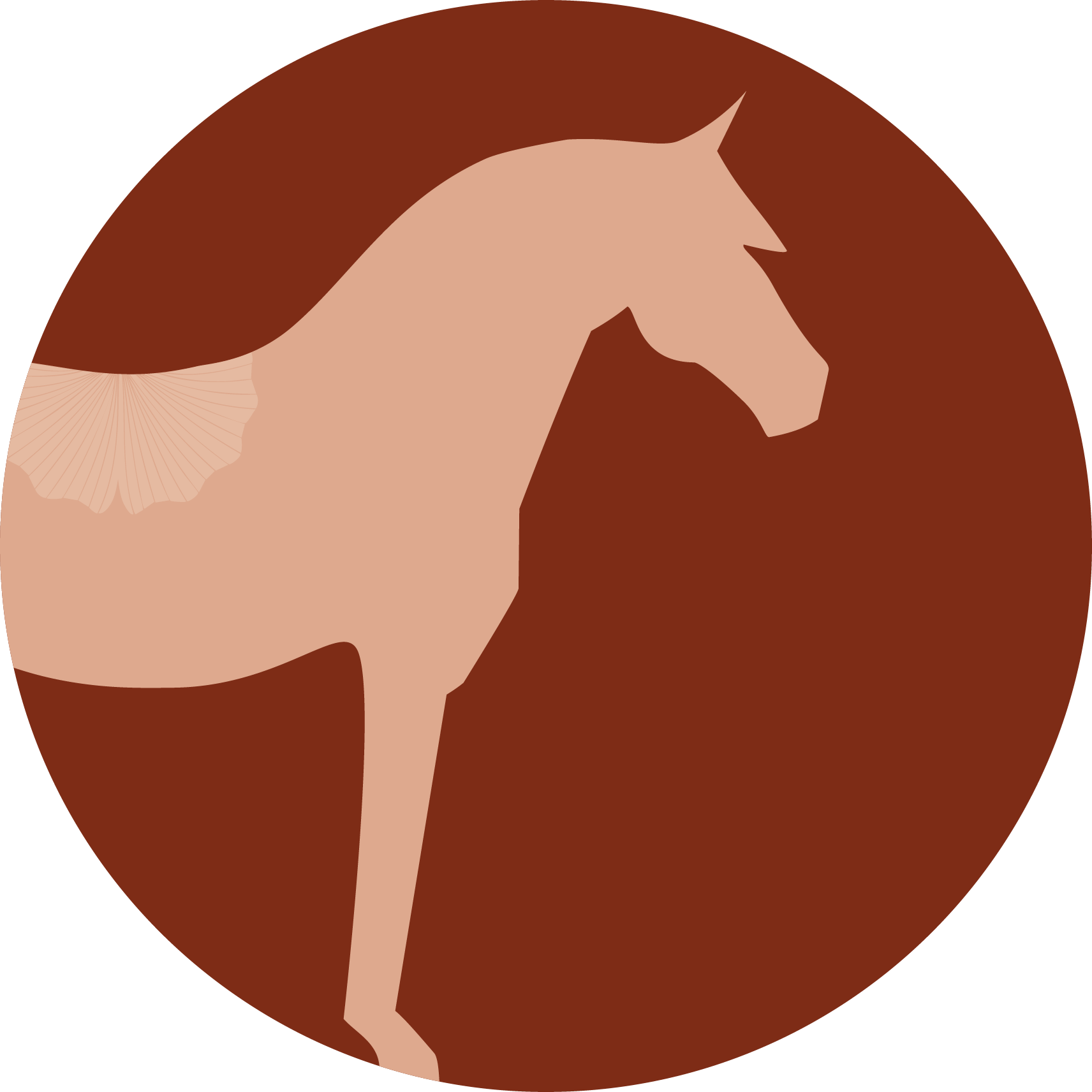 Icône représentant la silhouette d'un cheval, pour représenter l'ostéopathie équine pratiquée par Claire Fresneau-Fontalirant, à Saumur
