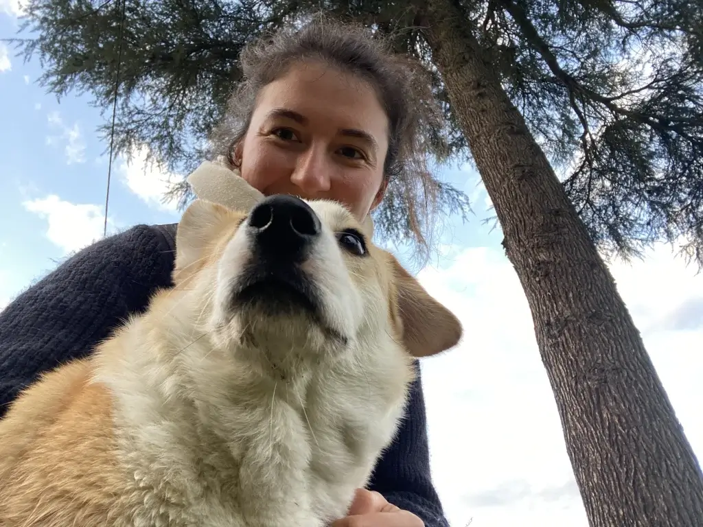 Claire Fresneau-Fontalirant, ostéopathe animalière à Saumur, avec sa chienne Corgi Netpune