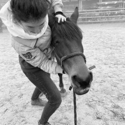 Claire Fresneau-Fontalirant, ostéopathe animalier à Saumur, en pleine séance d'ostéopathie crânienne sur un cheval
