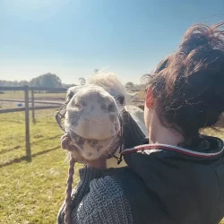 Claire en séance d'ostéopathie crânienne sur un cheval